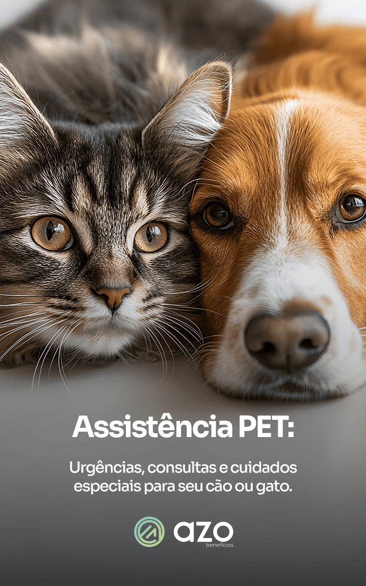 assi pet